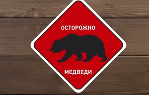 Наклейка виниловая "Осторожно Медведи" - фото 40441