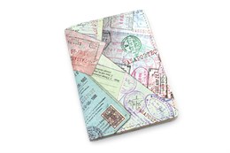 Обложка на паспорт Passport Wallet Tyvek
