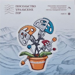 Наклейка виниловая "Альпинистский цветок"