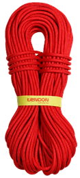 Веревка Tendon Master Pro CS 9,2мм D092TP41C060C