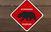 Наклейка виниловая "Осторожно Медведи" - фото 40441